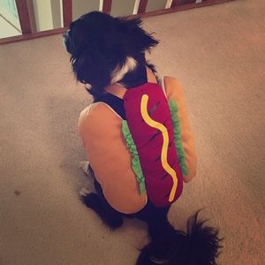 Hot dog DOG Halloween costume🎃