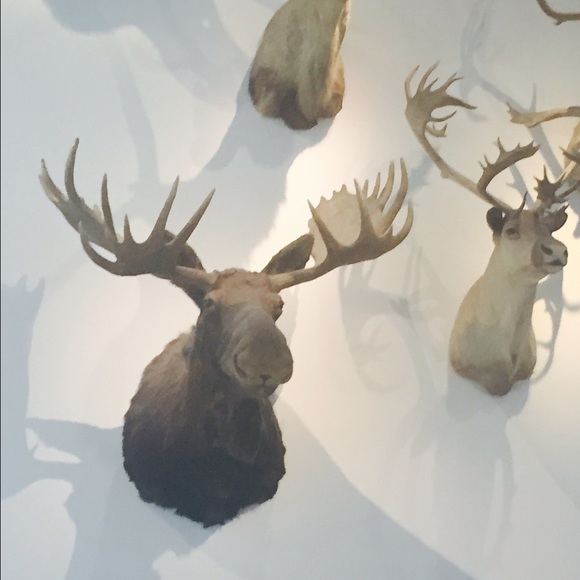 Meet your Posher, Shelly