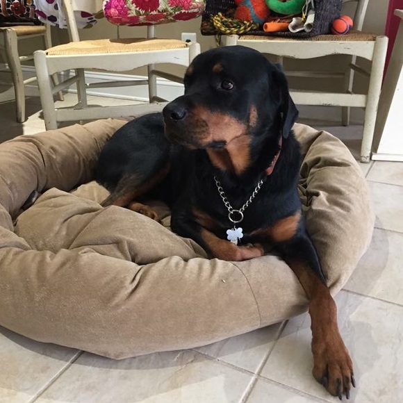 Meet your Posher, Jess - Picture 3 of 4