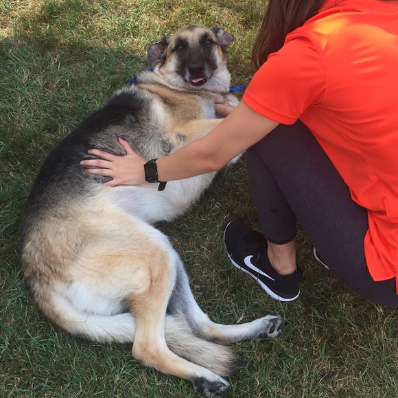 Meet your Posher, Jess - Picture 4 of 4