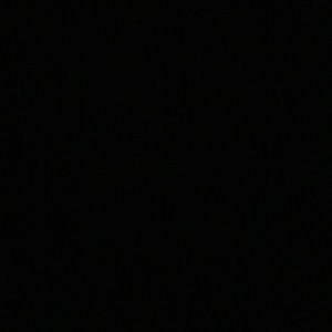 Meet your Posher, Maddy