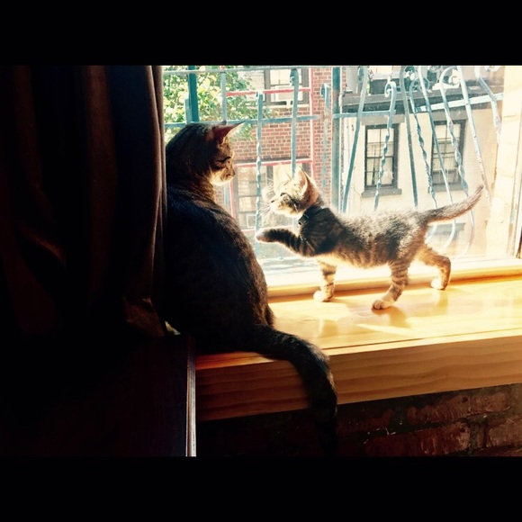 🎀 Meet Me! 🎀 - Picture 3 of 6