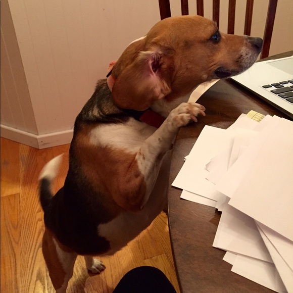 🎀 Meet Me! 🎀 - Picture 2 of 6