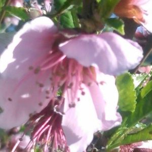 Meet your Posher, Miranda