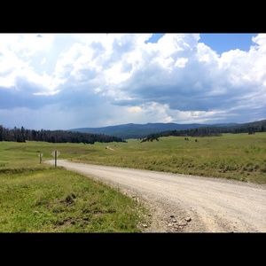 Meet your Posher, Jodi