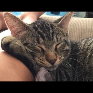 Meet your Posher, Cara