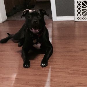 Meet your Posher, Kortnee