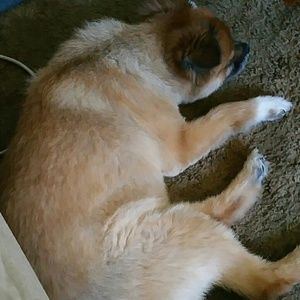 Meet your Posher, Marilyn