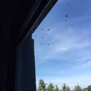 Meet your Posher, Shel