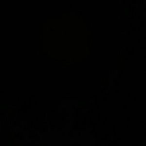 Meet your Posher, Francisco