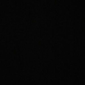 Meet your Posher, Callie