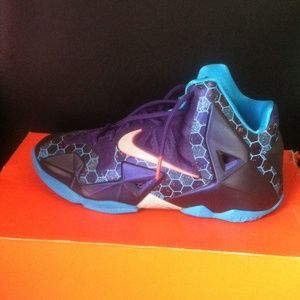 Purple Lebron XI
