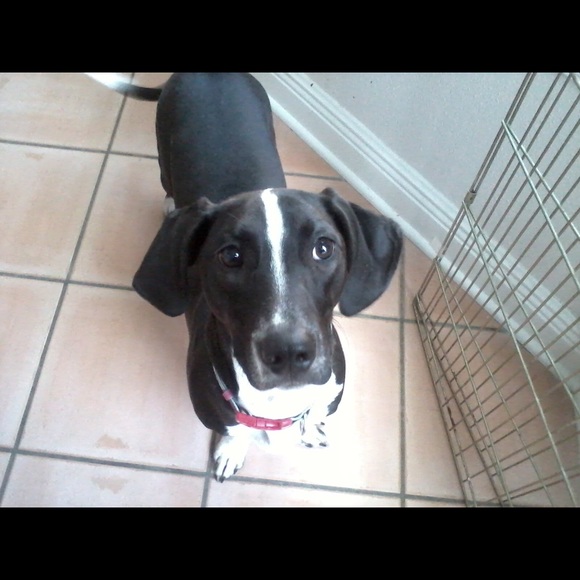 Meet your Posher, Christina - Picture 1 of 1