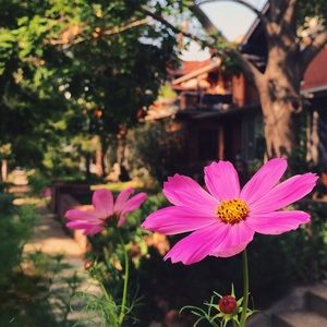 Meet your Posher, Casey