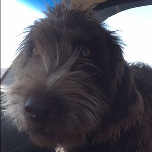 Meet your Posher, Colby