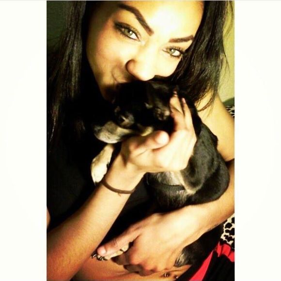 Meet your Posher, Raven - Picture 1 of 1