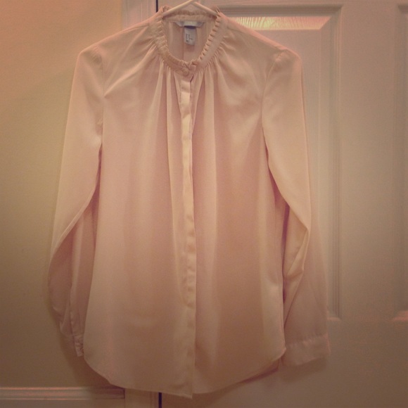 Sheer Blush Blouse