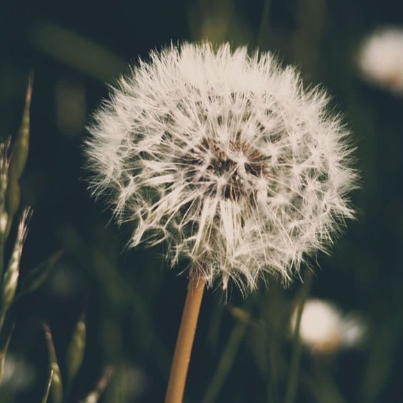 Meet your Posher, Robbie