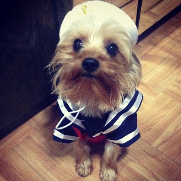 Other - Doggie costume
