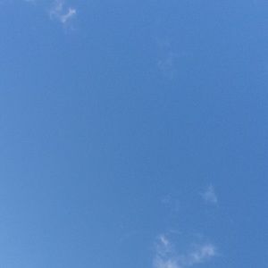 Meet your Posher, Lexi