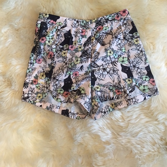 Kitty cat shorts