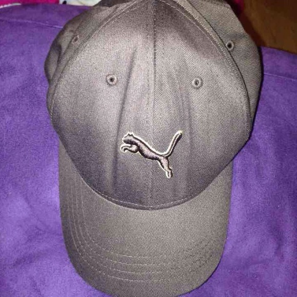 Puma new hay