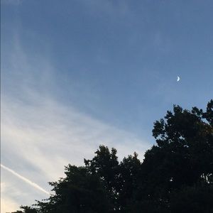 Meet your Posher, Miranda