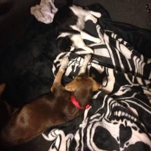 Meet your Posher, Michelle