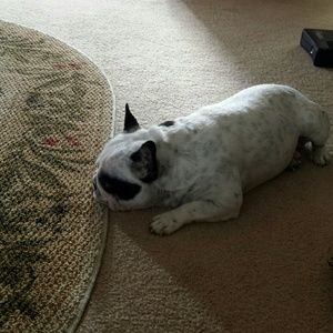 Meet your Posher, Stacey