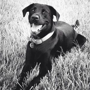 Meet your Posher, Anne