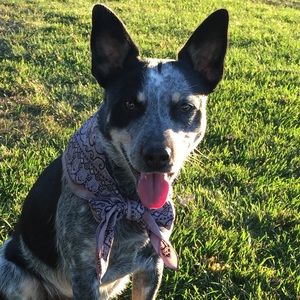 Meet your Posher, Vanessa