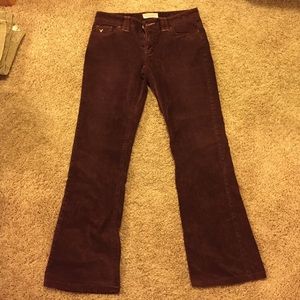 American Eagle Maroon Corduroy Pants
