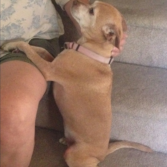 Meet your Posher, Elanna