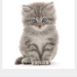 Meet your Posher, Monica