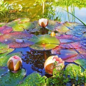 Meet your Posher, Candice