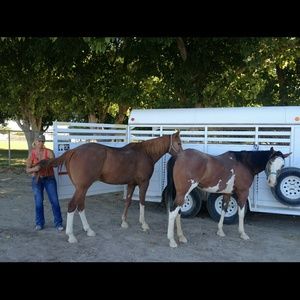 Meet your Posher, Dawn