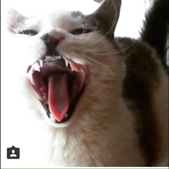 Meet your Posher, Anna