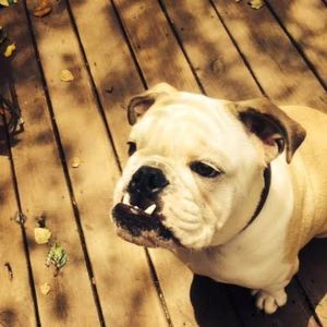 Meet your Posher, Taylor