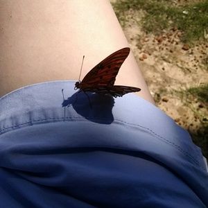 Meet your Posher, Melissa