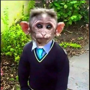 Meet your Posher, Edwin