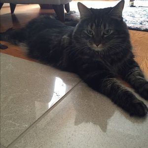 Meet your Posher, Caroline