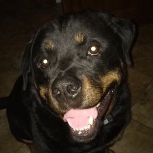 Meet your Posher, Kendra