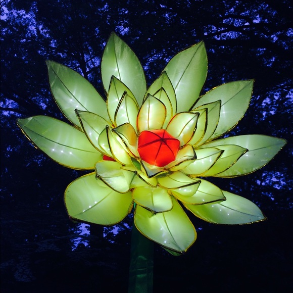 Bundle for @hilaryglascow 💙