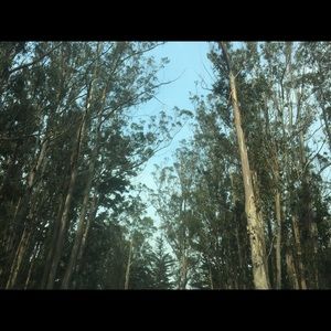 Meet your Posher, Ally