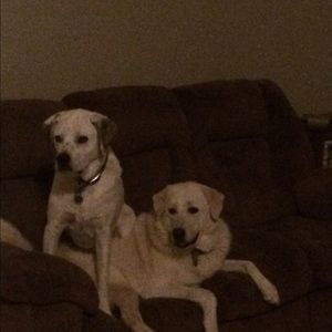 Meet your Posher, Kerry