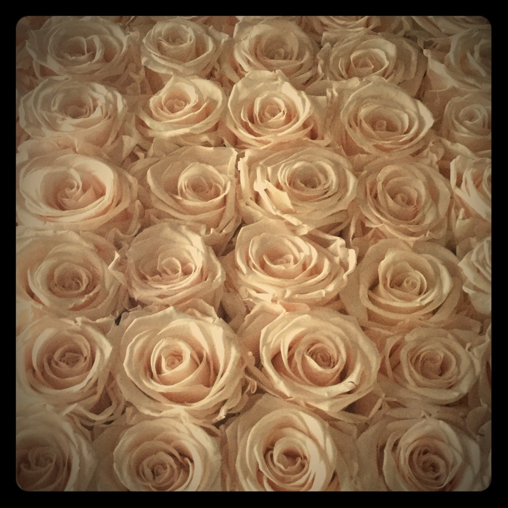 Meet your Posher,🌸🌷💐🥀🌹🌻🌼🌸