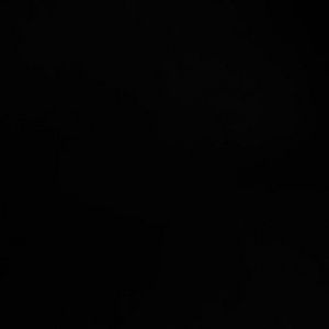 Meet your Posher, Carmen