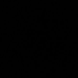 Meet your Posher, Marian