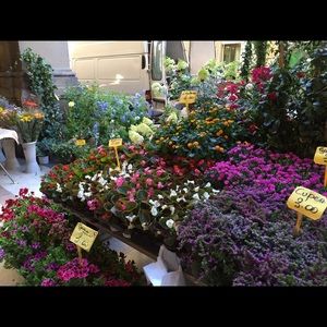 Meet your Posher, Joanne