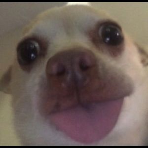 Meet your Posher, Iya